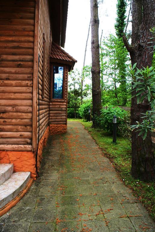 Green Cottage Shekvetili อูเรคี ภายนอก รูปภาพ